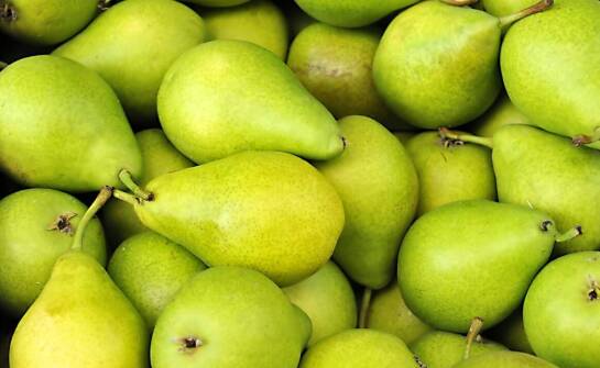 Pigwa gruszkowa – smak, właściwości i inspiracje do domowych przetworów