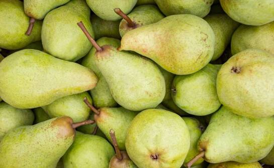 Pigwa gruszkowa – pochodzenie, właściwości i ciekawe fakty o owocu