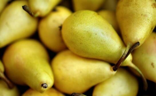 Pigwa gruszkowa – właściwości, zastosowanie i inspiracje kulinarne