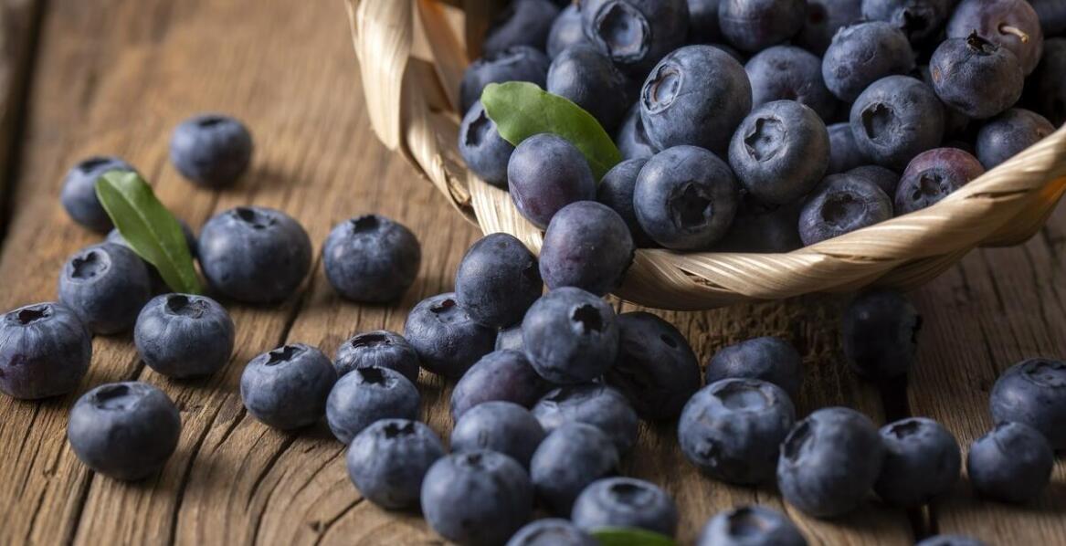 Jak wybrać i uprawiać zdrowe sadzonki borówki amerykańskiej w ogrodzie