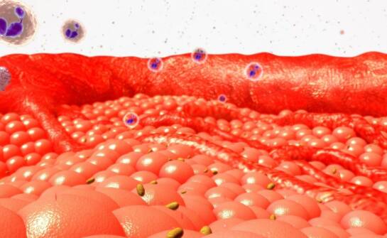 Czym są biostymulatory tkankowe i jak wpływają na kondycję skóry?