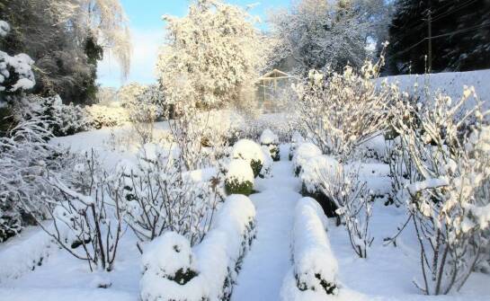 Ogrody zimowe – inspiracje i praktyczne informacje przed budową
