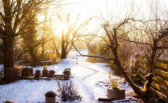 Inspiracje i pomysły na aranżacje ogrodów zimowych w domu oraz mieszkaniu