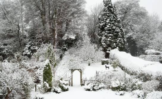 Czym różnią się ogrody zimowe od tradycyjnych ogrodów?