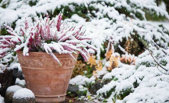 Ogrody zimowe — inspiracje i pomysły na aranżację przestrzeni przez cały rok