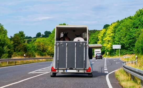 Jak przebiega transport zwłok z zagranicy i o czym warto pamiętać?