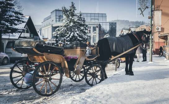 Jak przebiega proces sprowadzenia zwłok z Finlandii do Polski? Sprawdź etapy