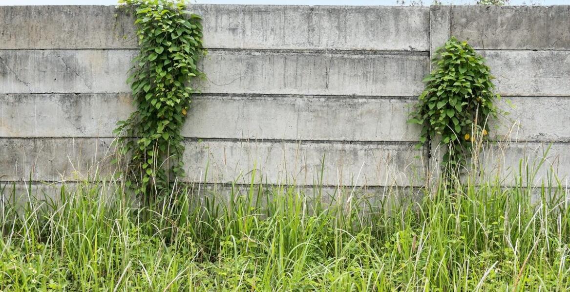 Ogrodzenia betonowe – trwałość, estetyka i zastosowania w ogrodzie