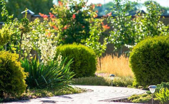 Inspiracje i pomysły na aranżacje ogrodu – krok po kroku do wymarzonej przestrzeni