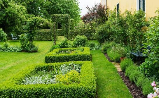 Inspiracje i pomysły na aranżacje ogrodu – trendy w projektowaniu ogrodów