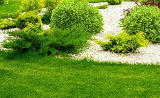 Jak powstają tereny zielone? Etapy urządzania przestrzeni pełnej natury