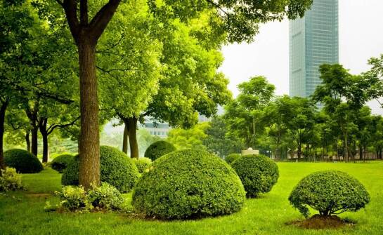 Jak krok po kroku przebiega zakładanie atrakcyjnych terenów zielonych