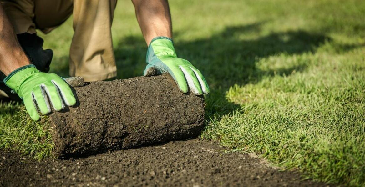 Jak powstają tereny zielone – etapy, pomysły i inspiracje do aranżacji