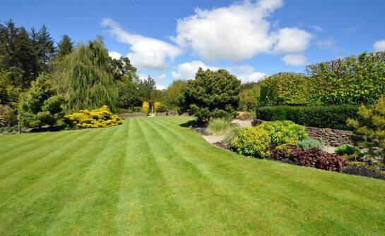 Skuteczne sposoby na odzyskanie pięknej murawy po zimie i suszy