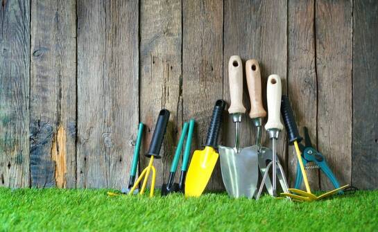 Jak skutecznie przywrócić świeżość trawnikowi po zimie i suszy