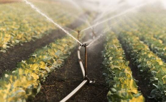 Systemy nawadniające