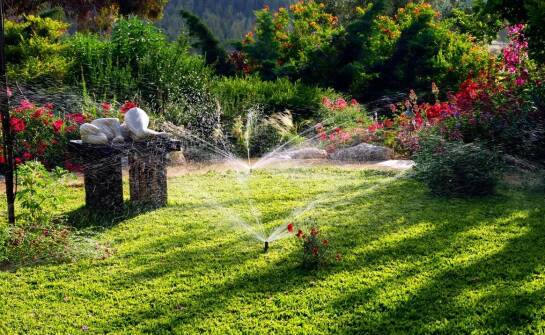 Jak działa system automatycznego nawadniania ogrodu i jakie daje korzyści
