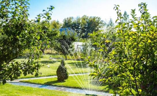 Systemy automatycznego nawadniania ogrodu – jak działają i co warto wiedzieć