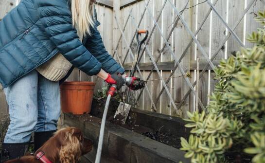 Jak zaplanować prace ogrodnicze przez cały rok – kalendarz i porady