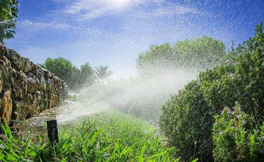 Jak działają systemy automatycznego nawadniania i czy warto je mieć w ogrodzie