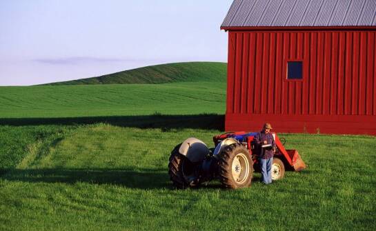Jak działa ubezpieczenie rolne i na co zwrócić uwagę przy wyborze?