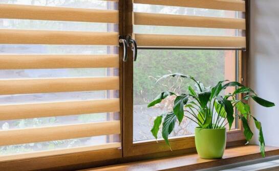 Jak działają rolety okienne zewnętrzne i jakie korzyści zapewniają?