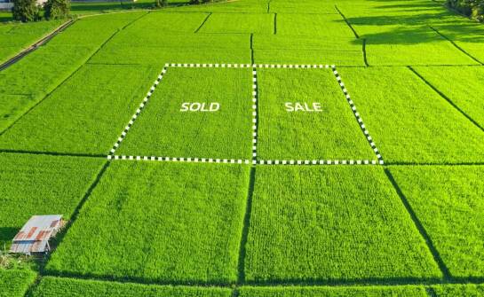 Jak bezpiecznie kupić działkę pod budowę domu – kluczowe informacje i wskazówki