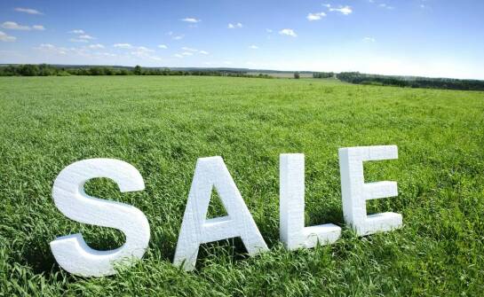 Jak przygotować działkę do sprzedaży i zwiększyć jej wartość rynkową