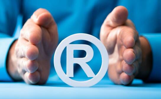 Skuteczne metody walki z gryzoniami – jak zabezpieczyć dom i otoczenie