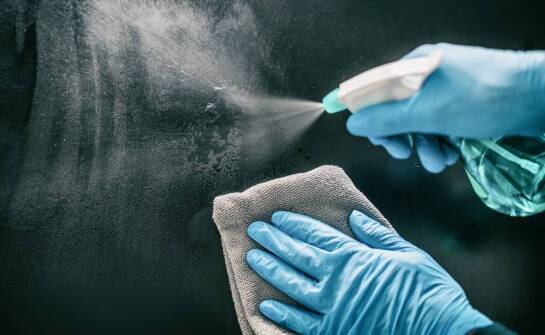 Jak skutecznie pozbyć się gryzoni? Sprawdzone sposoby na deratyzację