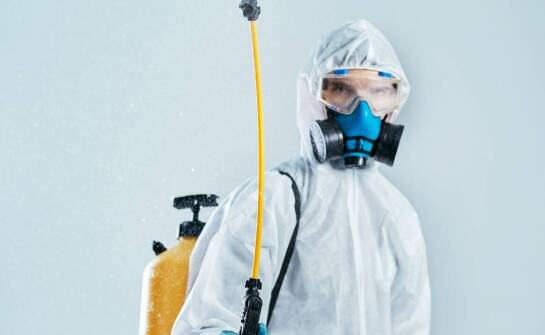 Jak skutecznie pozbyć się gryzoni z domu i firmy – sprawdzone metody deratyzacji