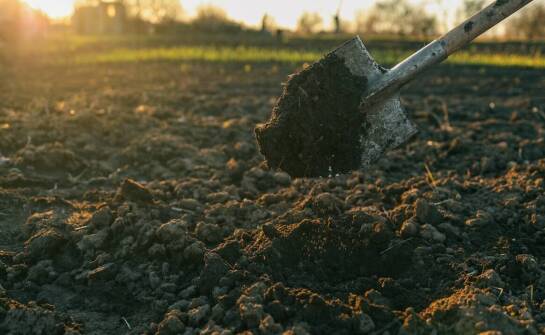 Jak przebiegają roboty ziemne i na co zwrócić uwagę przed rozpoczęciem prac