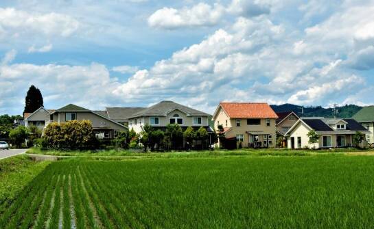 Jak wybrać idealny domek do agroturystyki? Najważniejsze kwestie i inspiracje