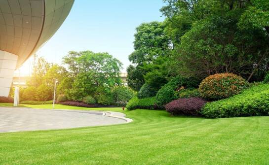 Jak powstają tereny zielone – proces tworzenia zielonych przestrzeni od podstaw