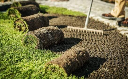 Jak powstają piękne tereny zielone – etapy i najważniejsze zasady zakładania