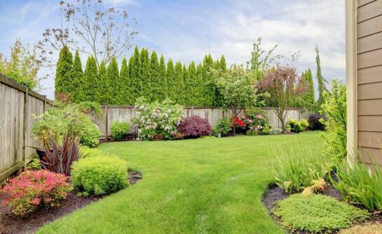 Jak krok po kroku stworzyć funkcjonalny i estetyczny teren zielony