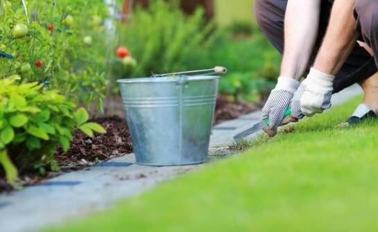 Jak przebiega tworzenie terenów zielonych – etapy, inspiracje, korzyści