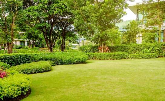 Jak powstają atrakcyjne tereny zielone i jakie korzyści przynoszą