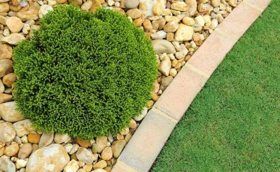 Jak powstają tereny zielone? Kluczowe etapy tworzenia zielonych przestrzeni