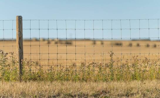 Jak wybrać trwałe i estetyczne ogrodzenie – praktyczne wskazówki i inspiracje