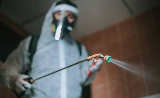 Jak pozbyć się gryzoni z domu i ogrodu – sprawdzone sposoby na szczury i myszy