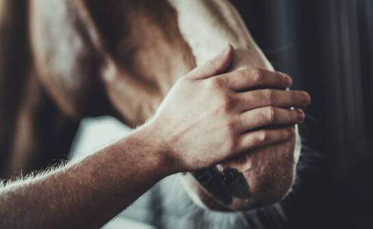 Zwalczanie gryzoni – co warto wiedzieć o ochronie domu przed szkodnikami