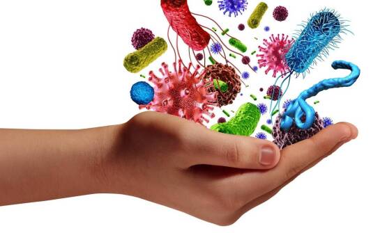 Najważniejsze informacje o usuwaniu drobnoustrojów w domu i otoczeniu