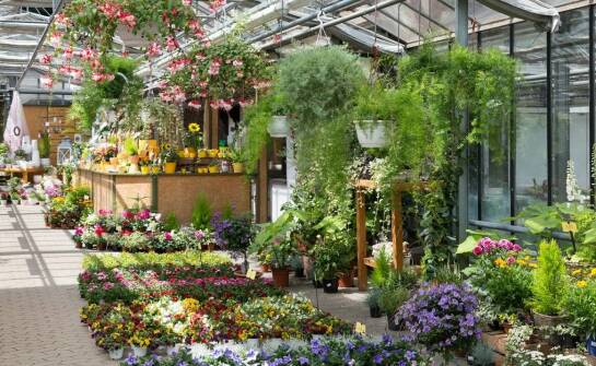 Centrum ogrodnicze – co można znaleźć i jak wybierać najlepsze rośliny