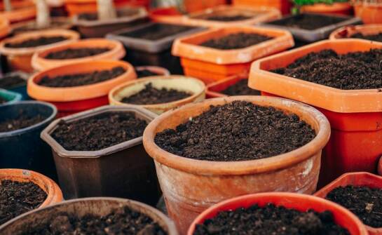 Ziemia ogrodowa – rodzaje, właściwości i zastosowania w uprawie roślin