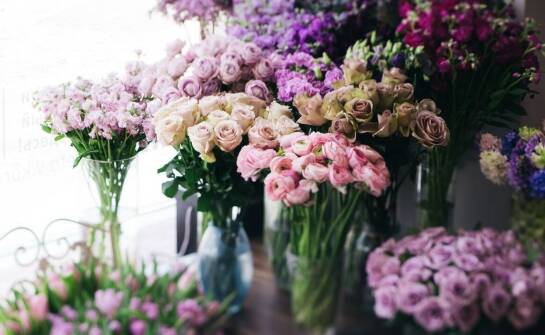 Kwiaty rabatowe – najlepsze gatunki i inspiracje na efektowną rabatę