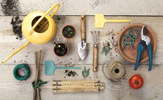 Artykuły do ogrodu – niezbędne akcesoria i pomysły na aranżację przestrzeni