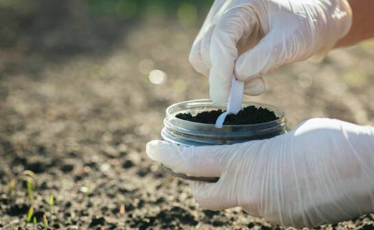 Nawozy mineralne w ogrodnictwie – kiedy stosować i jak wpływają na rośliny