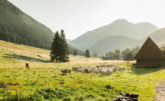 Przestronny dom w górach na wspólny wyjazd – jak wybrać najlepszą opcję