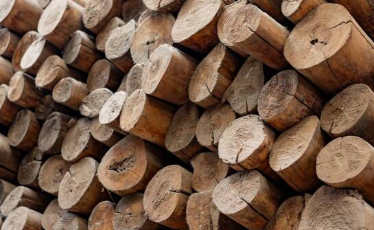 Brykiet drzewny – zastosowanie, zalety i praktyczne porady użytkowania